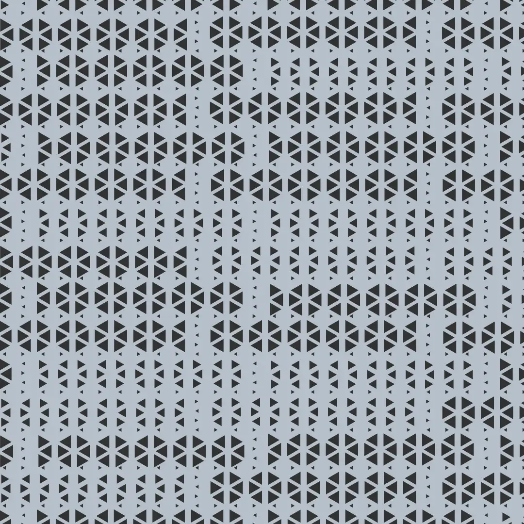 What is Picture Perforation?